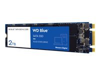 Western-Digital Blue WDS200T2B0B