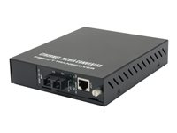 LevelOne GVM-1101 Fibermedieomformer Ethernet Fast Ethernet