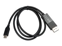 V7 - DisplayPort cable - USB-C to DisplayPort - 2 m