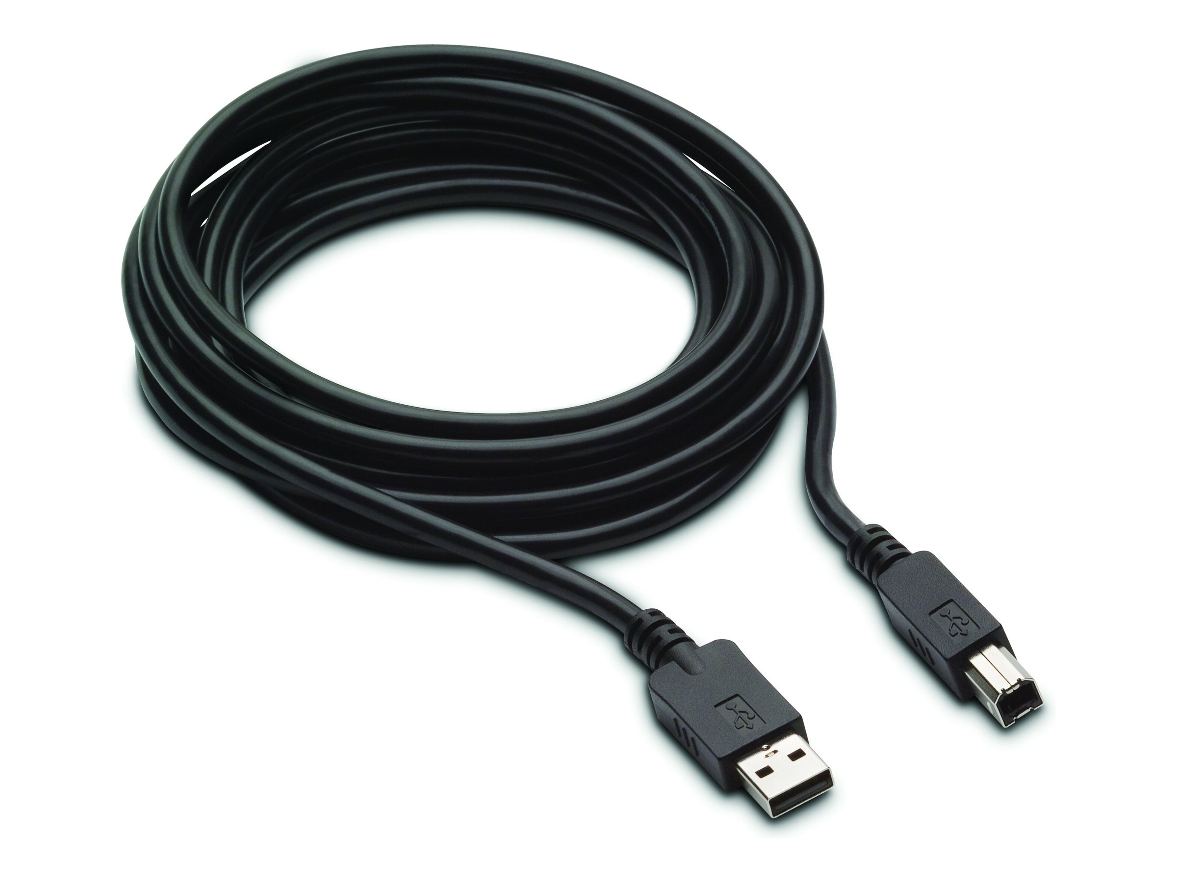 HP - Display cable kit