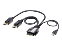 Belkin - Câble vidéo / USB - Conformité TAA - USB, DisplayPort (M) 