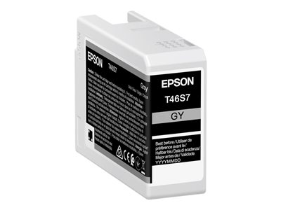 EPSON Singlepack Gray T46S7 UltraChrome - C13T46S700