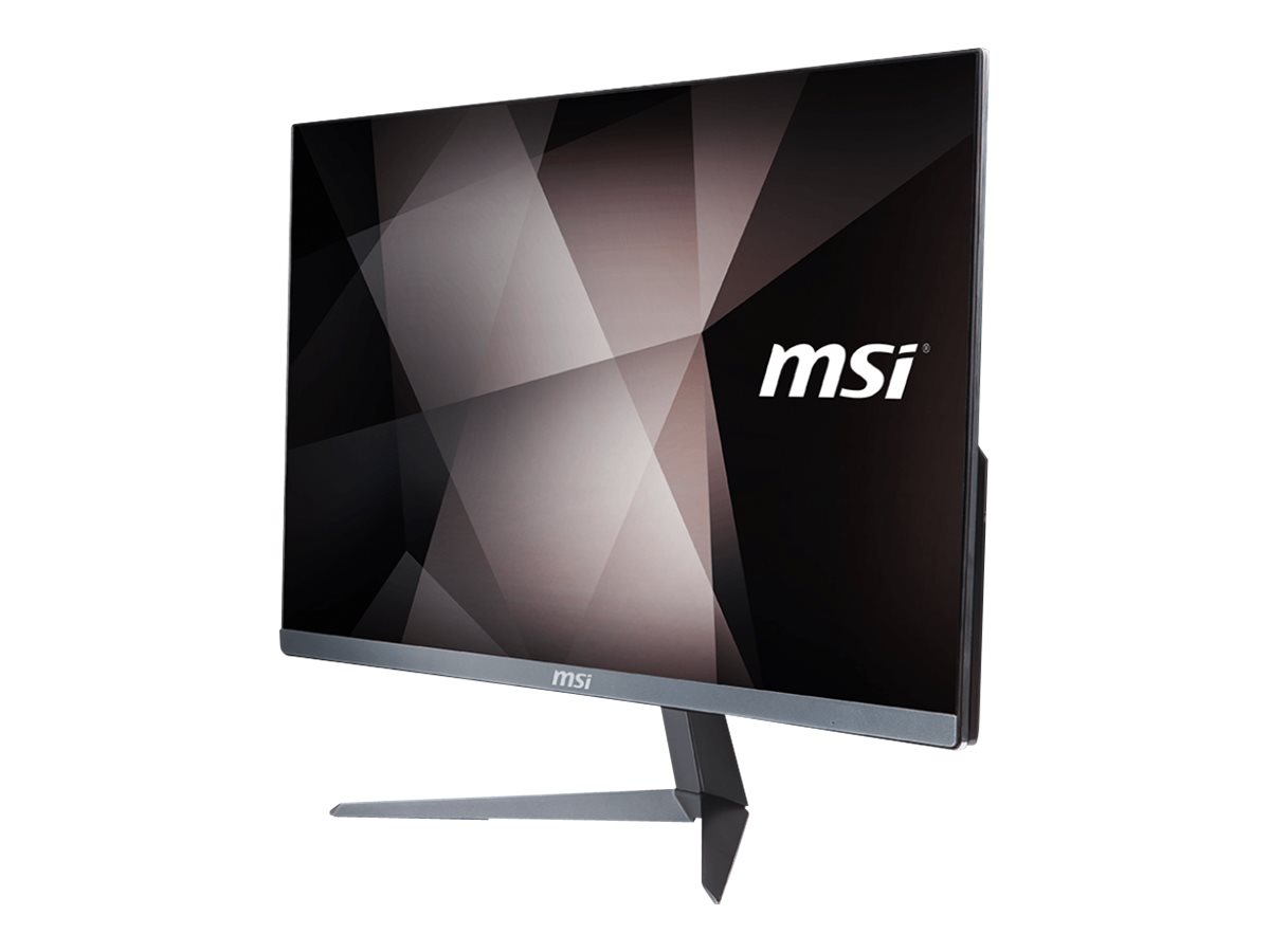 MSI Pro 24X 10M 224US