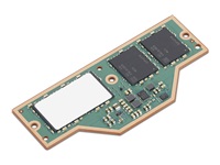 Lenovo - LPDDR5X - module - 64 Go 
