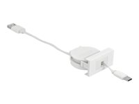 DeLOCK Easy USB 2.0 USB Type-C kabel 50cm Hvid