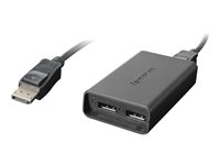 LENOVO DP to Dual-DP Adapter