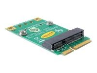 DeLOCK Converter Mini PCI Express half-size > full-size Udvidelseskort