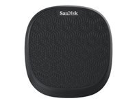 Sandisk Cls USB SDIB20N-064G-GN9UN