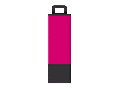 Centon Pro2 - USB flash drive