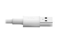 EATON TRIPPLITE USB-A to Lightning Cable