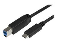 StarTech.com Câble USB-C vers USB-B de 2 m - Cordon USB Type-C vers Type-B pour imprimante - M/M - USB 3.0