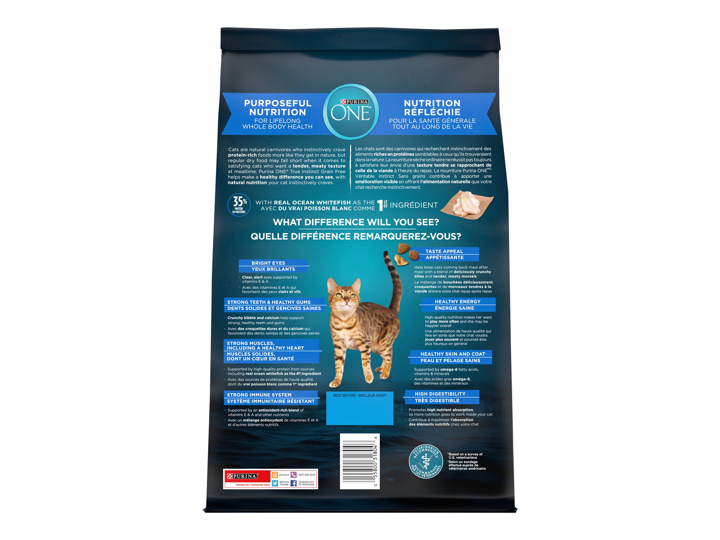 Purina One True Instinct Natural Grain Free With Real Ocean