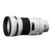 Sony SAL300F28G - telephoto lens - 300 mm