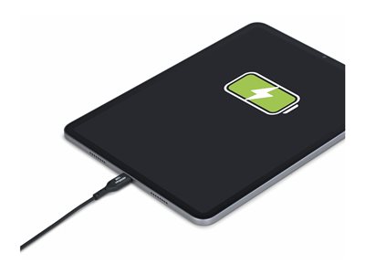 STARTECH 4m USB-A auf USB-C Ladekabel