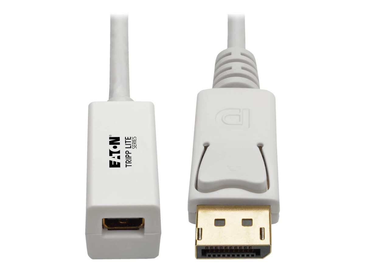 Tripp Lite 6in DisplayPort to Mini DisplayPort Adapter Cable 4k x 2k @ 60Hz M/F 6"