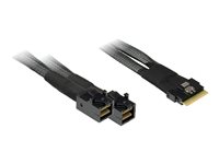 Inter-Tech Serial Attached SCSI (SAS) internt kabel Sort 75cm