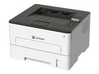 Lexmark B2236dw Printer B/W Duplex laser A4/Legal 600 x 600 dpi up to 36 ppm 