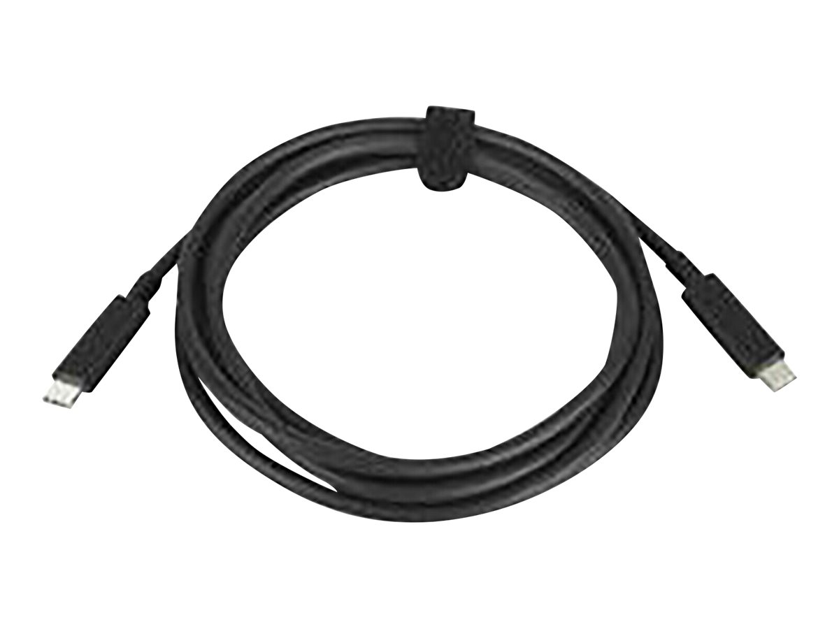 HP 100W - USB cable - USB-C (P) to USB-C (P)