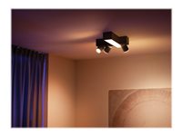 Philips Hue White and Color Ambiance Centris Loftsspotlys 2000-6500K 16 millioner farver