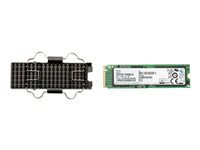HP - SSD - 256 GB - internal - M.2 2280 - PCIe (NVMe) - for Workstation Z2 G4, Z4 G4, Z6 G4