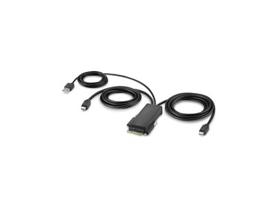 Belkin Secure Modular Mini DP Dual Head Host Cable