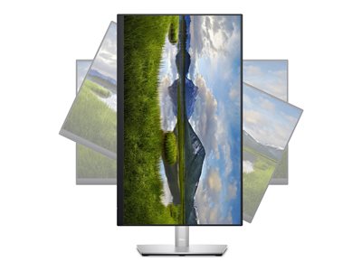 Dell P2423D - LED monitor