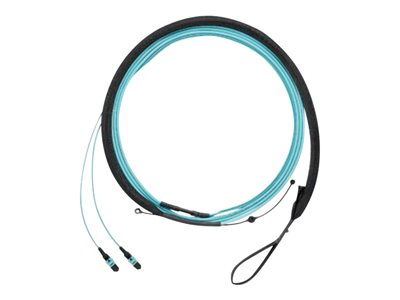 Panduit QuickNet network cable - 0.914 m - aqua