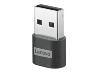 Lenovo - Adaptateur USB - 24 pin USB-C (F) pour USB type A (M) - USB 2.0 