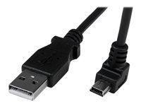 StarTech.com C�ble PC  USBAMB2MD
