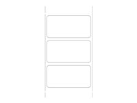 Zebra Consommable 880175-025D