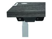 FELLOWES LEVADO PLATEAU SEUL CHENE NEWPO