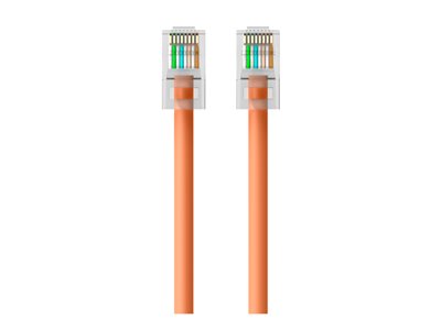 Belkin - Patch cable
