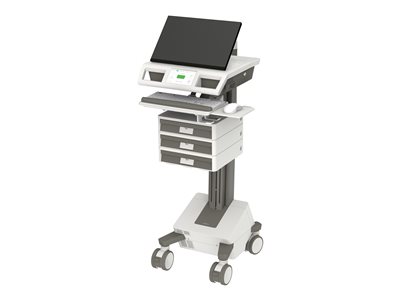 Ergotron Mosaic - Cart