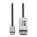 Eaton Tripp Lite Series USB C to DisplayPort Adapter Cable (M/M), 8K UHD, DisplayPort 1.4, Black/Silver, 6 ft.