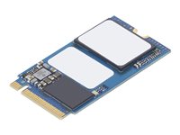 Lenovo SSD 1TB M.2 PCI Express 3.0 x4 (NVMe)