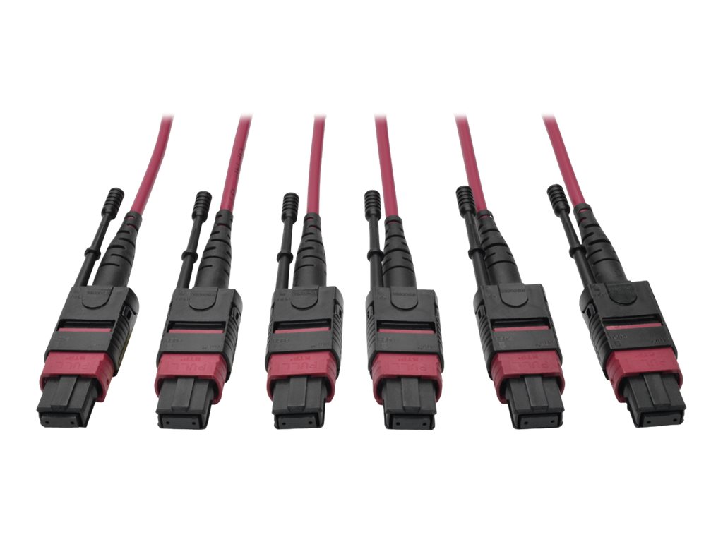 Tripp Lite 24-Fiber MTP MPO OM4 Base-8 MMF Trunk Cable 40/100GbE 3X, 61M - network cable - 61 m - magenta
