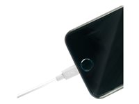 LINDY USB to Lightning Cable White 2m