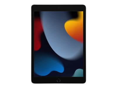 Apple iPad 10,2 (25,91cm) 256GB WIFI spacegrau iOS