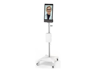 Tryten S3 Neat Frame