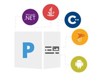 Product Family - Single Developer Small Business 1 Year Standard Support Renewal – Aspose