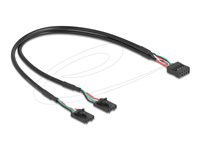 Delock USB internt kabel 30cm Sort