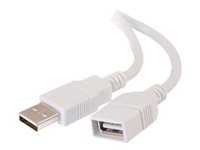 C2G 3m (10ft) USB Extension Cable - USB 2.0 A to USB A - M/F