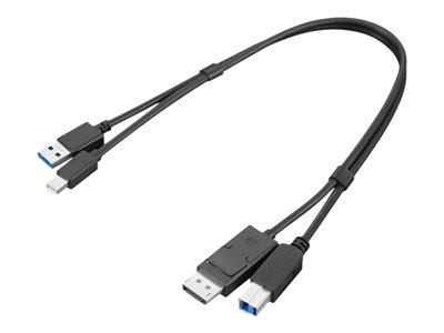 Lenovo Dual Head - display / USB cable kit - USB Type A, DisplayPort to USB Type B, Mini DisplayPort - 43 cm