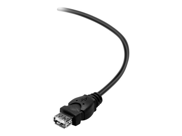 Image of Belkin - USB extension cable - USB to USB - 4.8 m