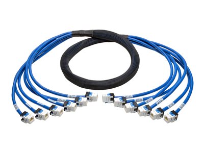 Tripp Lite Augmented Cat6/Cat6a Pre-Terminated Copper Trunk Bundle 6xRJ45 F/F 6'