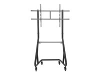 NEOMOUNTS Mobile Flat Screen Floor Stand