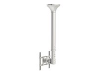 NEOMOUNTS FPMA-C100 ceiling mount