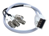 CISCO 2 ft Smart Antenna Connector