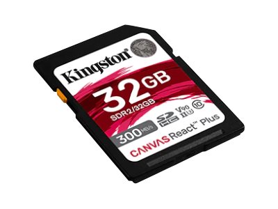 KINGSTON SDR2/32GB, Speicher Flash-Speicher, KINGSTON  (BILD2)