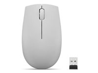 Lenovo 300 Wireless Compact - mouse - with battery - 2.4 GHz - arctic grey